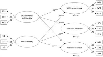 Exploring the role of identity in pro-environmental behavior: cultural and educational influences on younger generations